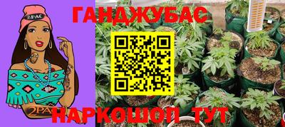 гидропоника Партизанск